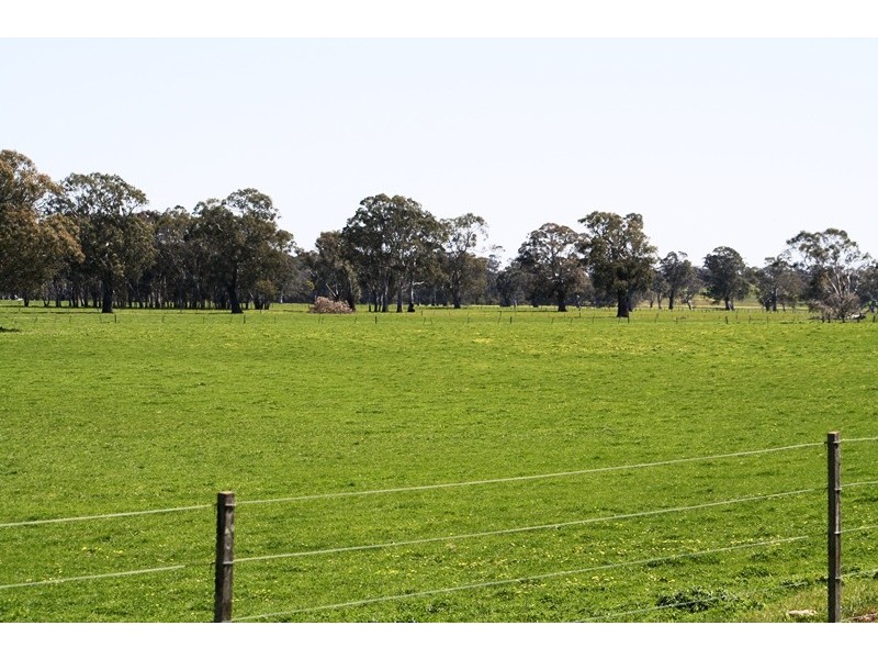‘Moorimbina’ Dairy, Joanna and Gum Point via, Naracoorte SA 5271