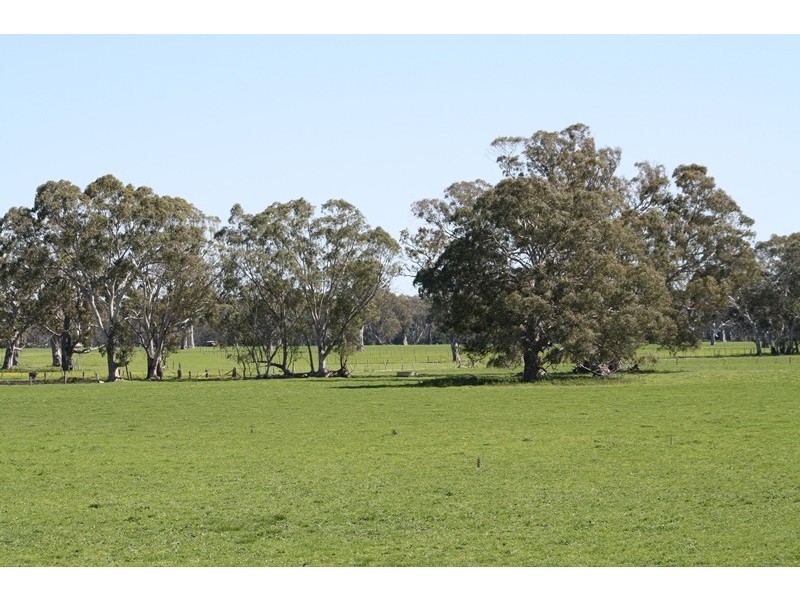 ‘Moorimbina’ Dairy, Joanna and Gum Point via, Naracoorte SA 5271
