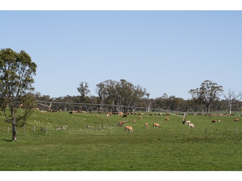‘Moorimbina’ Dairy, Joanna and Gum Point via, Naracoorte SA 5271