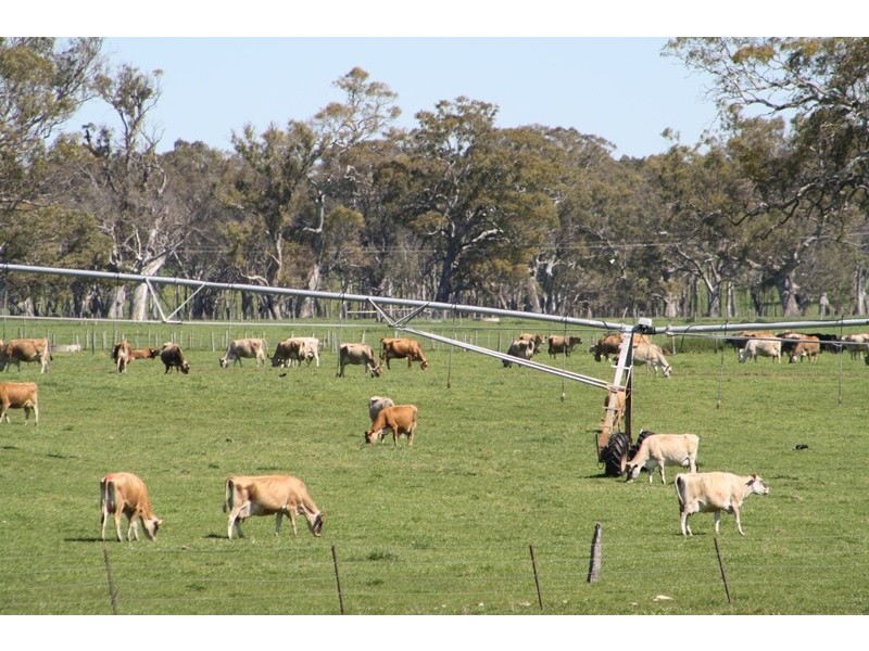 ‘Moorimbina’ Dairy, Joanna and Gum Point via, Naracoorte SA 5271