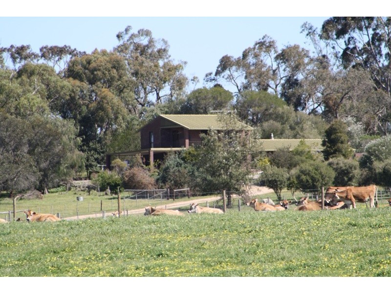 ‘Moorimbina’ Dairy, Joanna and Gum Point via, Naracoorte SA 5271