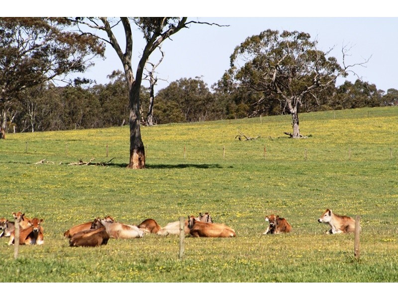 ‘Moorimbina’ Dairy, Joanna and Gum Point via, Naracoorte SA 5271