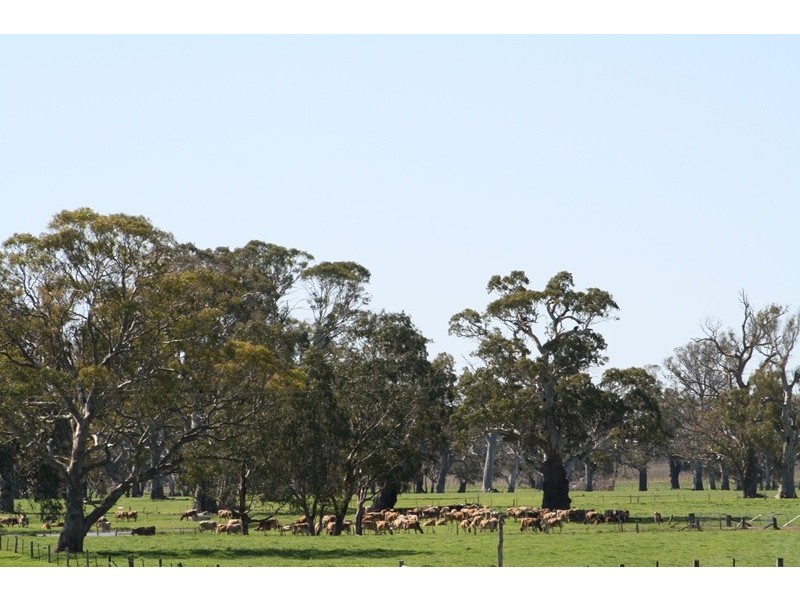 ‘Moorimbina’ Dairy, Joanna and Gum Point via, Naracoorte SA 5271