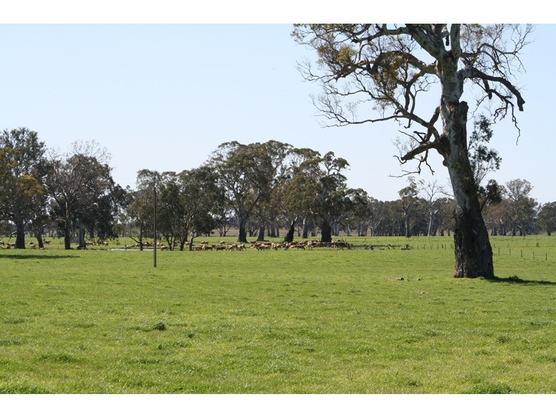 ‘Moorimbina’ Dairy, Joanna and Gum Point via, Naracoorte SA 5271