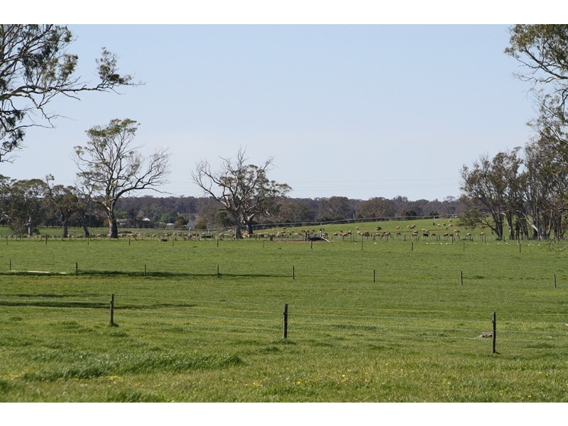 ‘Moorimbina’ Dairy, Joanna and Gum Point via, Naracoorte SA 5271
