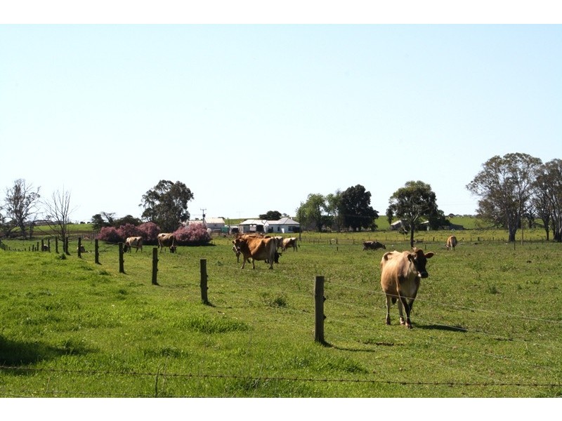 ‘Moorimbina’ Dairy, Joanna and Gum Point via, Naracoorte SA 5271