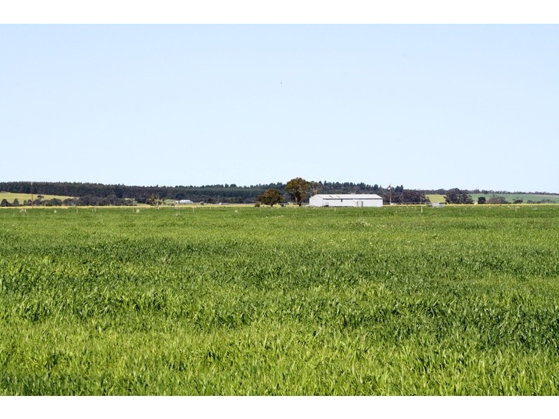 ‘Moorimbina’ Dairy, Joanna and Gum Point via, Naracoorte SA 5271