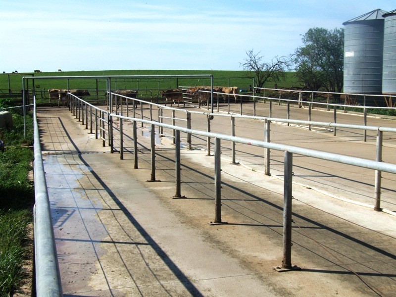 ‘Moorimbina’ Dairy, Joanna and Gum Point via, Naracoorte SA 5271