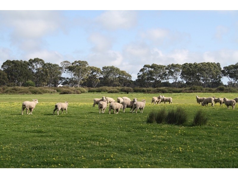 Bonnie Doon Old Kingston Road, Naracoorte SA 5271