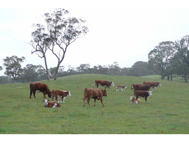 ‘Reata’ Minnamurra Road, Marcollat SA 5271