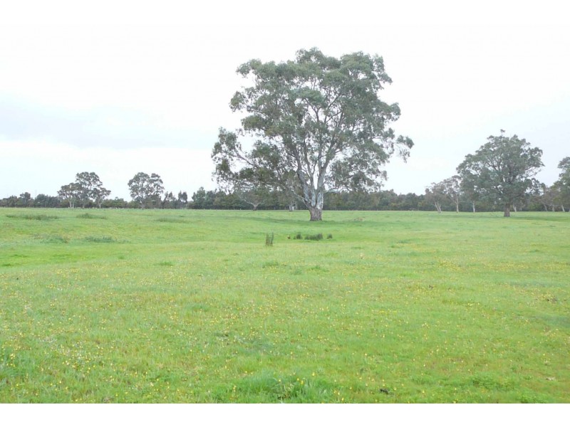 ‘Reata’ Minnamurra Road, Marcollat SA 5271