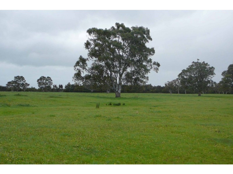 ‘Reata’ Minnamurra Road, Marcollat SA 5271