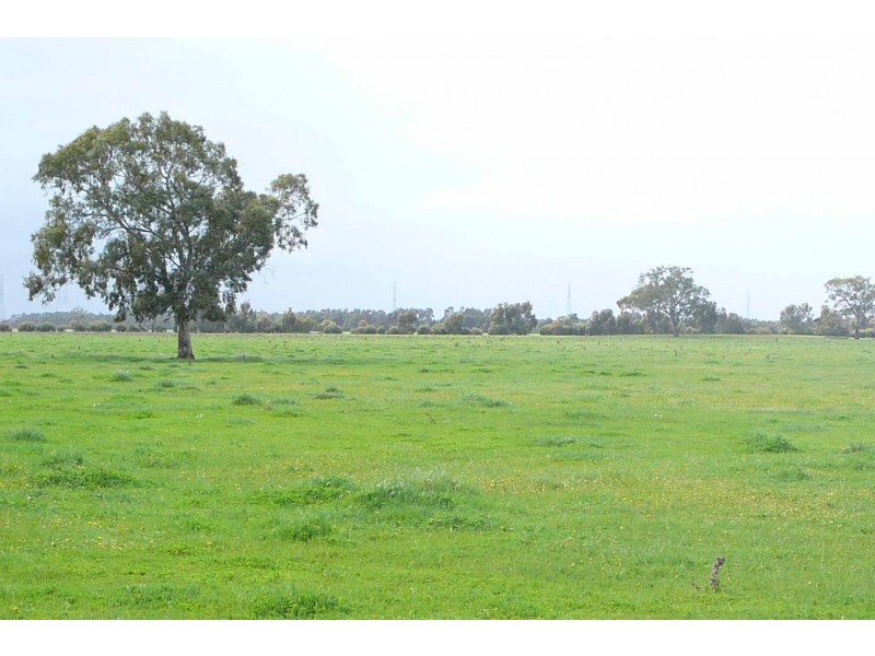 ‘Reata’ Minnamurra Road, Marcollat SA 5271