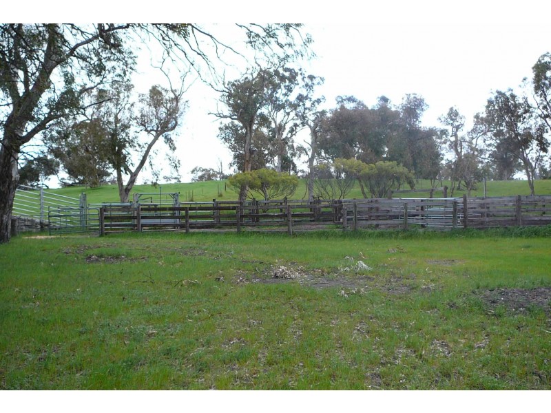 ‘Reata’ Minnamurra Road, Marcollat SA 5271