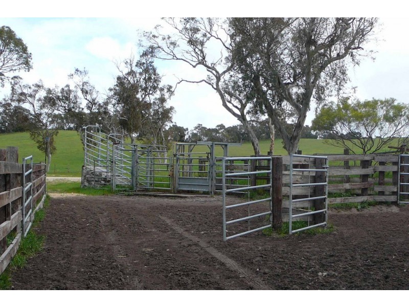 ‘Reata’ Minnamurra Road, Marcollat SA 5271