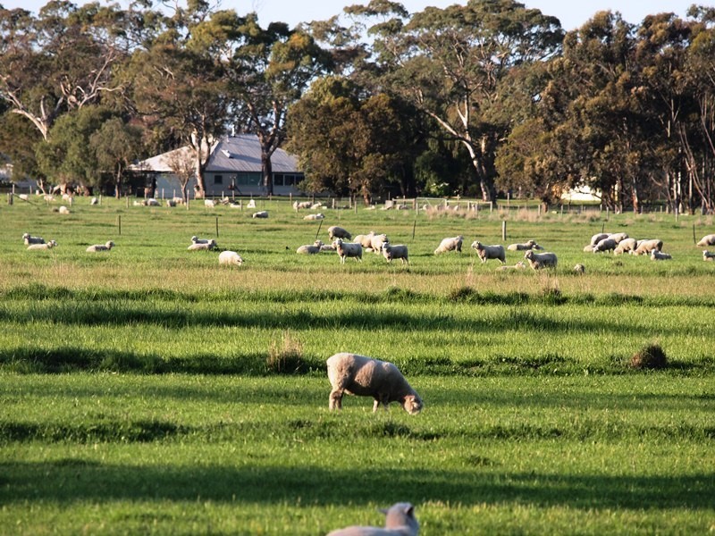 ‘Koniak Estate’, Greenways via, Lucindale SA 5272