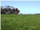 ‘Koniak Estate’, Greenways via, Lucindale SA 5272