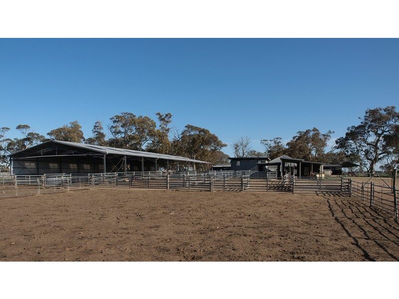 ‘Koniak Estate’, Greenways via, Lucindale SA 5272