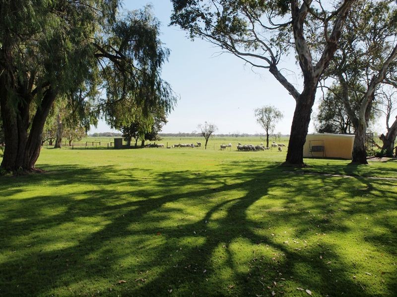 ‘Koniak Estate’, Greenways via, Lucindale SA 5272