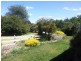 3-5 Country Club Road, Lucindale SA 5272