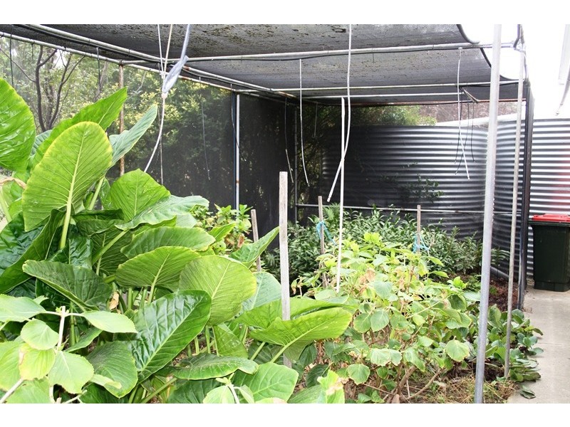 15 Field Avenue, Naracoorte SA 5271