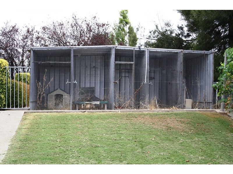 15 Field Avenue, Naracoorte SA 5271