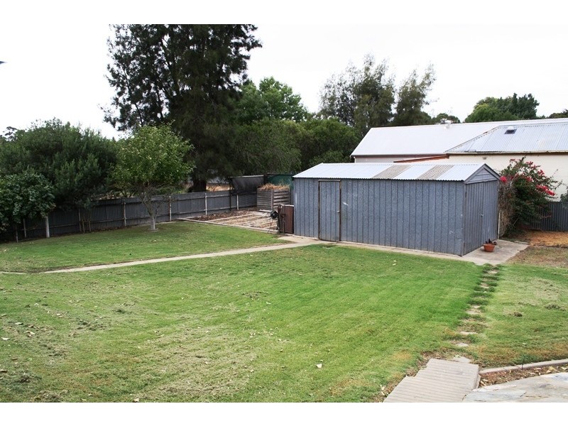 15 Field Avenue, Naracoorte SA 5271
