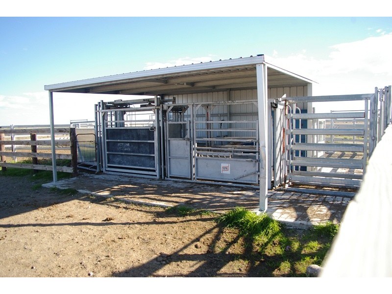 Mayfield Group of Properties, Lucindale SA 5272