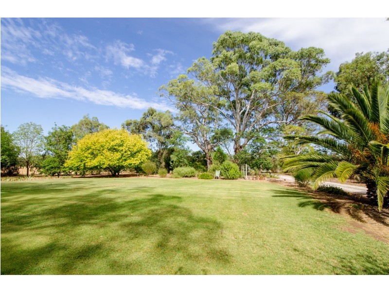 ”Lerida” Riddoch Highway, Naracoorte SA 5271