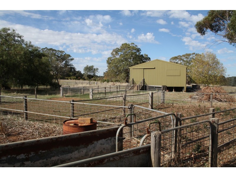 ”Lerida” Riddoch Highway, Naracoorte SA 5271
