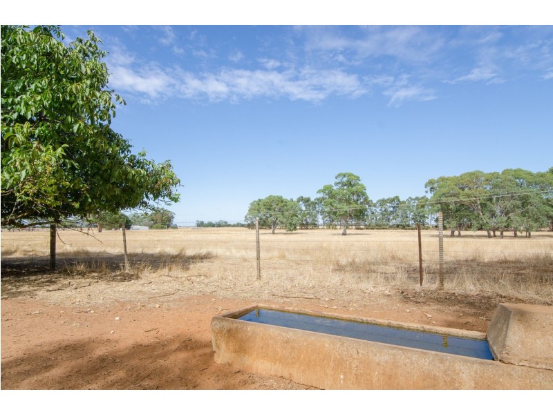 ”Lerida” Riddoch Highway, Naracoorte SA 5271