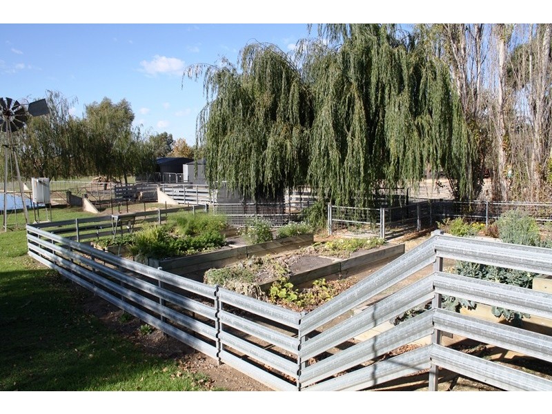 2 Pinkerton Road, Naracoorte SA 5271