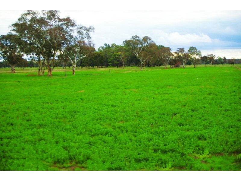 ‘Indiana’ Range Road, Willalooka SA 5267