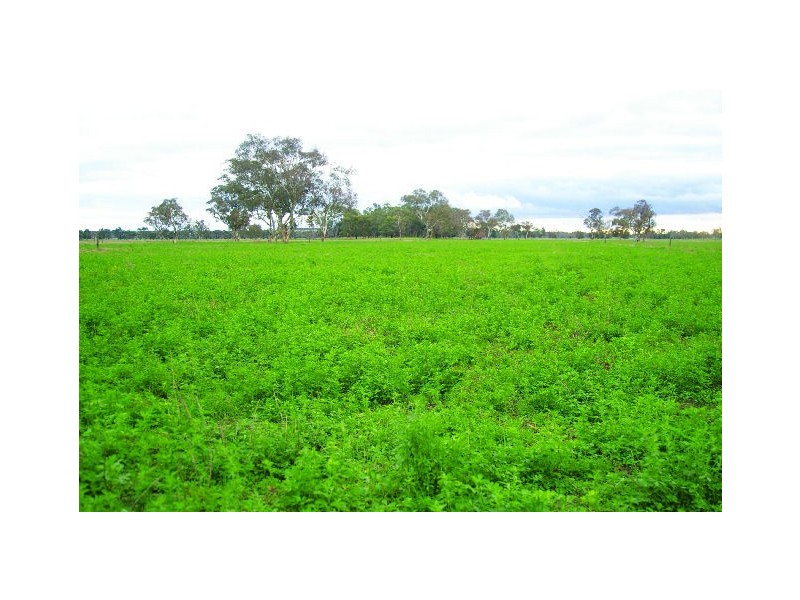 ‘Indiana’ Range Road, Willalooka SA 5267