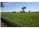 Naracoorte SA 5271