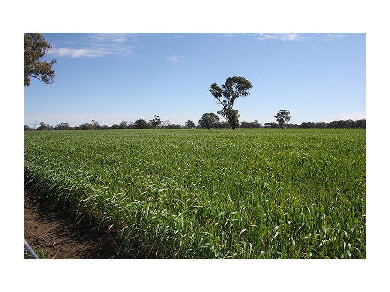 Naracoorte SA 5271