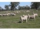 Naracoorte SA 5271
