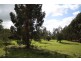 Lot 102 Martins Road, Naracoorte SA 5271