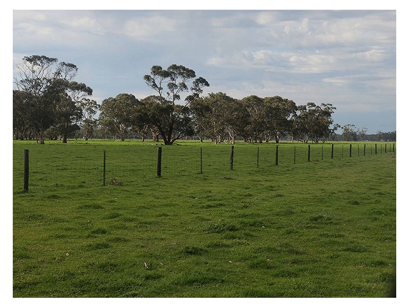 00 Edwards Road, Padthaway SA 5271