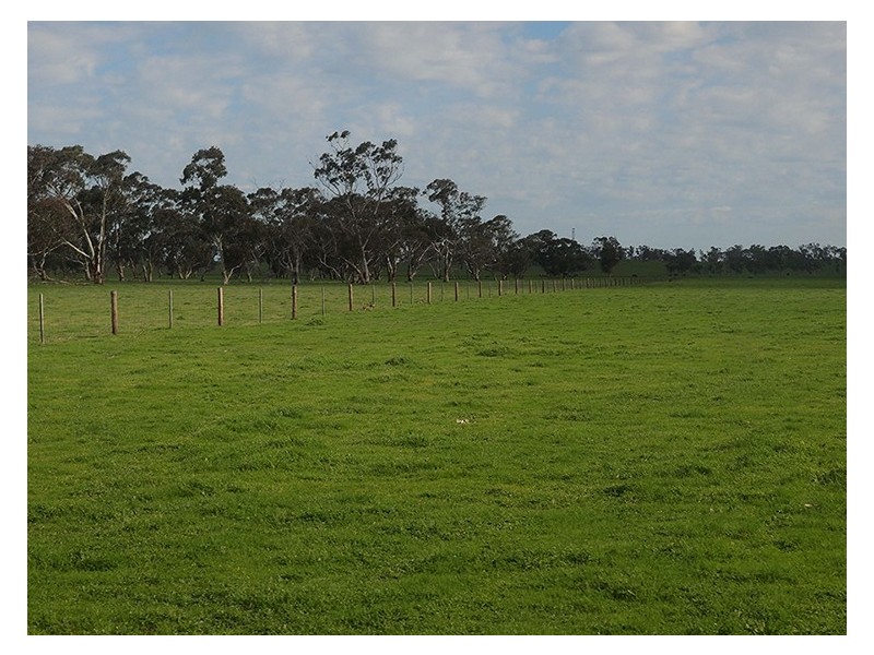 00 Edwards Road, Padthaway SA 5271