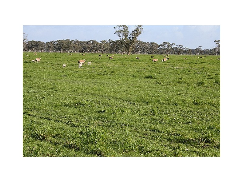 00 Edwards Road, Padthaway SA 5271