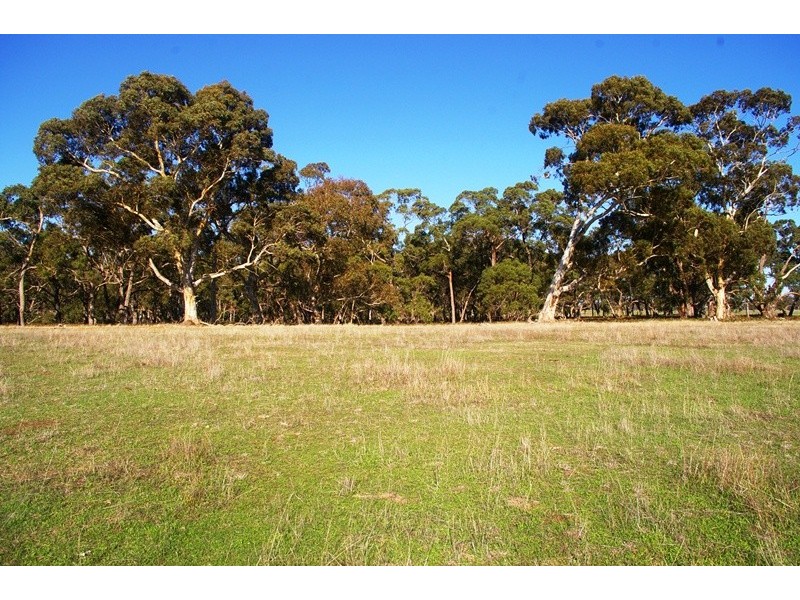 0 CK Smith Road, Naracoorte SA 5271