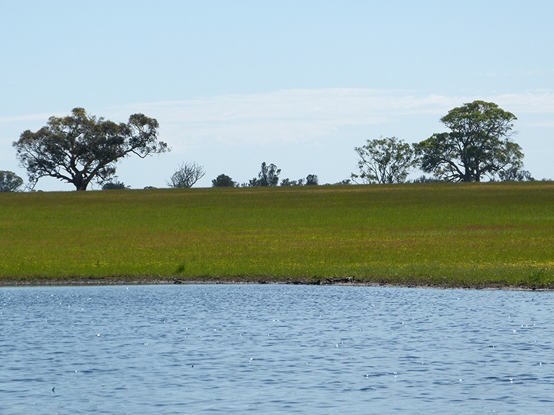 124 Griffins Road, Apsley VIC 3319