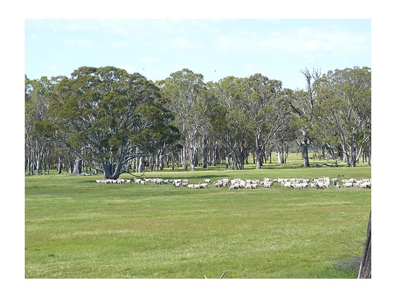 124 Griffins Road, Apsley VIC 3319