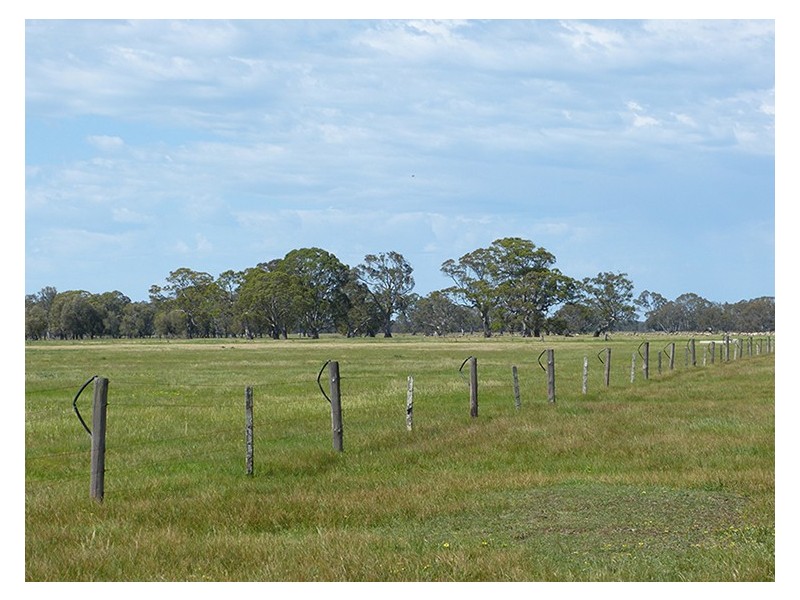 124 Griffins Road, Apsley VIC 3319