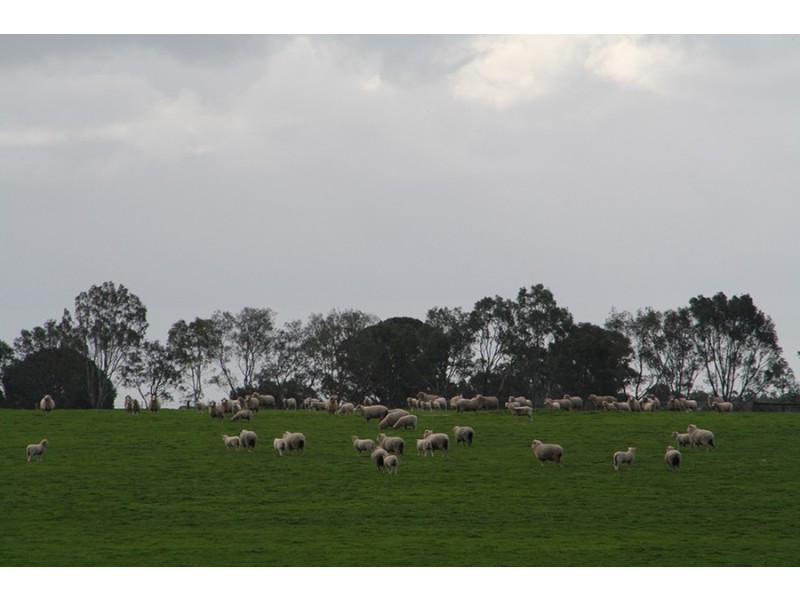 759 Jessie Road, Kybybolite SA 5262