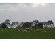 759 Kyby-Jessie Road, Naracoorte SA 5271