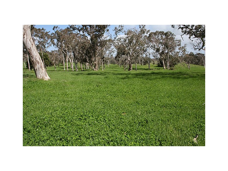 00 Princes Highway, Lucindale SA 5272