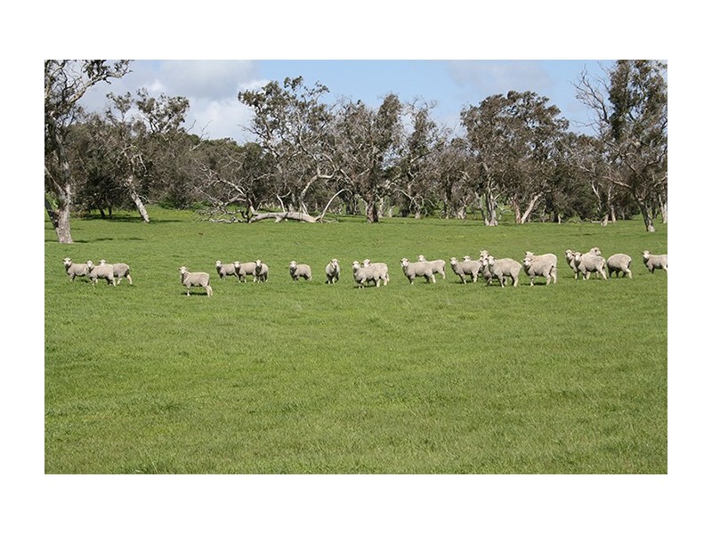 00 Princes Highway, Lucindale SA 5272