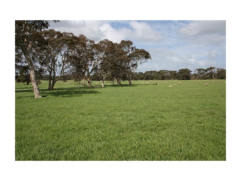 00 Princes Highway, Lucindale SA 5272